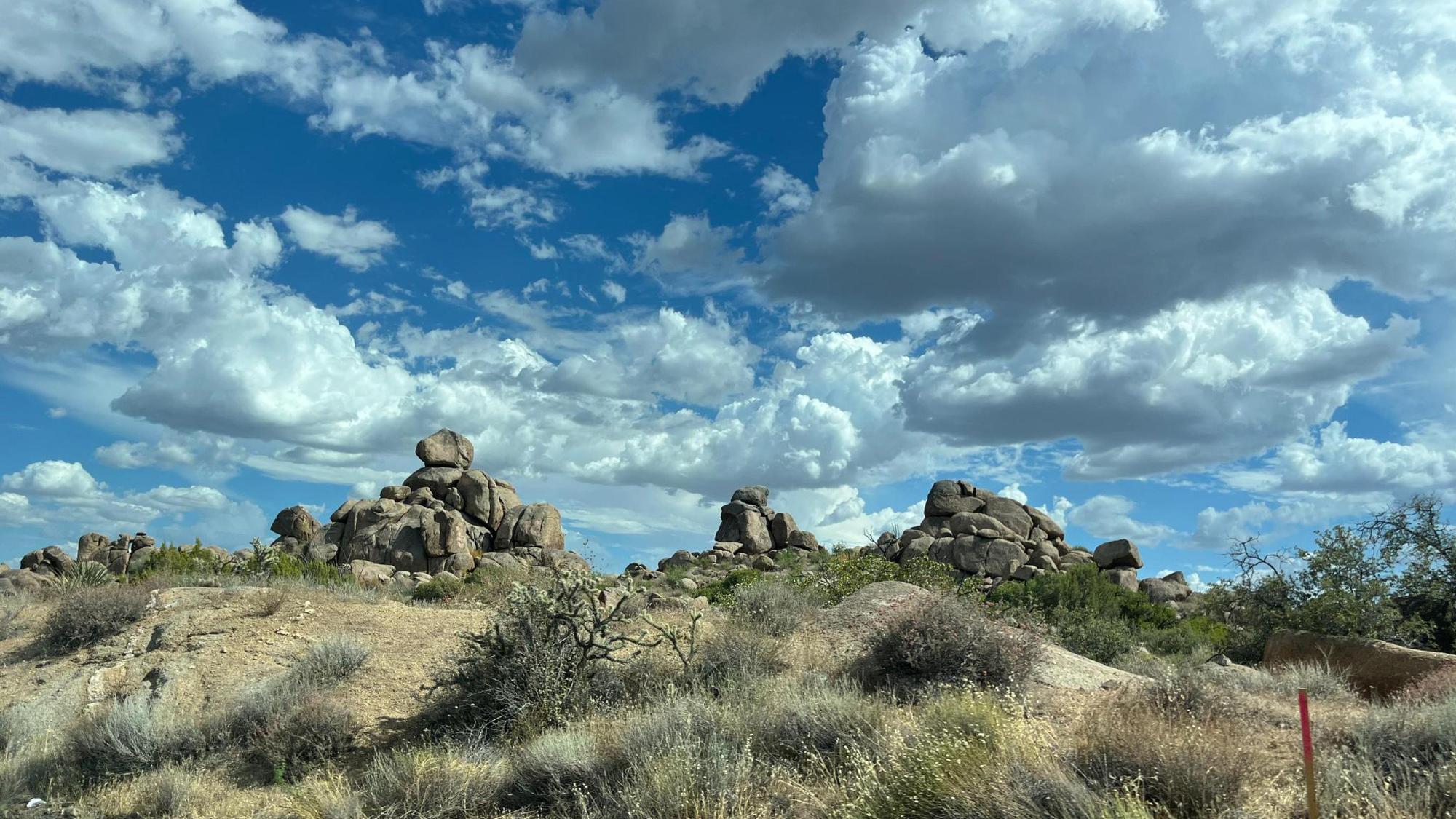 The Fight for Recreational Marijuana in 2024: The States Leading the Charge